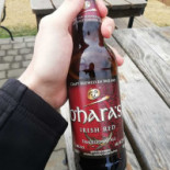 Schronisko Na Hali Boraczej Napój