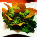 Artkwarium Nourriture