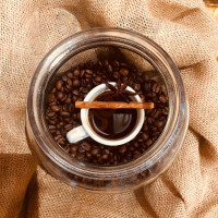 Dom Turysty Pod Wieżycą Bebida