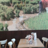 North Fish À l'intérieur