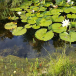 Vento Di Mare Extérieur