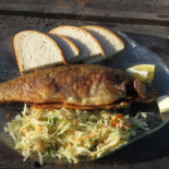 Łowisko Pstrąga Stawy U Michty Comida