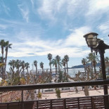 Green Monkey Cafe Extérieur