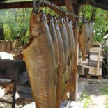 Pstrąg Ojcowski À l'intérieur