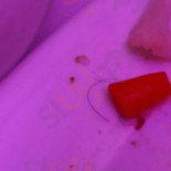 Dworek Biesiadny Boisson