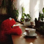 Pers À l'intérieur