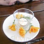 Alternatywa Nourriture