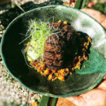 Zielona Górka Boisson