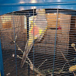 Tawerna Robinson Bebida