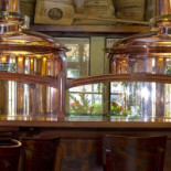 Browar Tumski Bebida