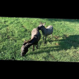 House Of Sushi Boisson