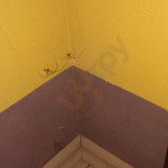 Oycowa Zagroda Boisson