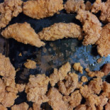 Bistro Folk Nourriture