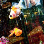 Pięć Dębów Exterior