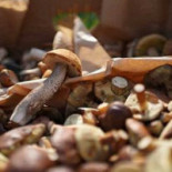 Pizzeria Mona Boisson