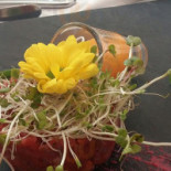 Pensjonatu Bryza Bebida