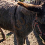 Filharmonia Exterior