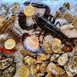 Seafood Station Restaurant, Bar Grill Dania