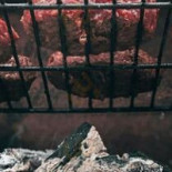 Sushi Rola À l'intérieur