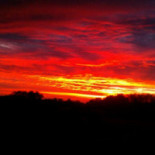 Słodka Rozpusta Bebida