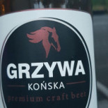 Czarny Kos Apartments Borkowo Logo