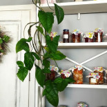 Bistro Centrum Bebida