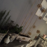 Bistro Centrum Bebida