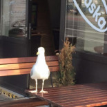 U Piaska Tradycyjna Smazalnia Ryb I Pizzeria Na zewnątrz