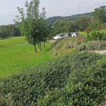 Dzikowy Skarb Exterior