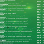 Pizzeria Mariano Italiano Menu