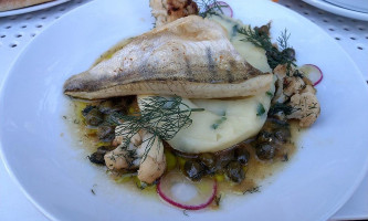 Gwiazda Morza Comida