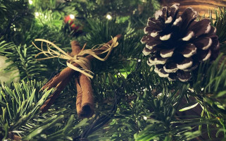 Malinowy Chruśniak Bebida