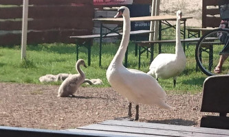 Megalopark Libiąż Szyjki Exterior