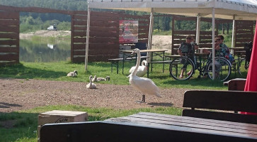 Megalopark Libiąż Szyjki Exterior