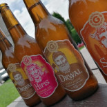 Viking Bistro Brusy Napój