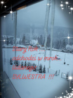 Wild Bean Cafe Carte