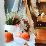 U Połki I Allana Bebida