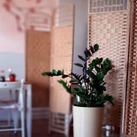 Sakura Sushi Serock Boisson