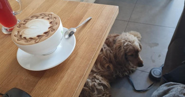 Kafejeto Kawiarnia Bebida