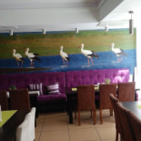 Stork À l'intérieur