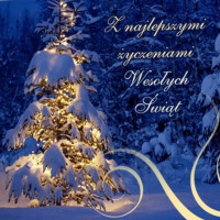 Pizzeria Pasja Bebida