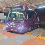 I Love Pizza Biertowice