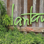 Wild Bean Cafe Boisson