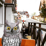 Pizzeria U Jadzi Bebida