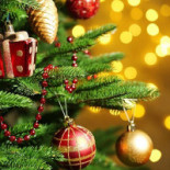 Pizzeria U Jadzi Bebida