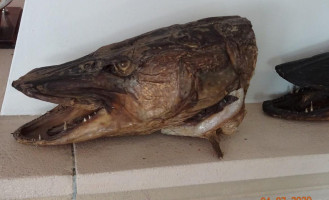 As Smaczne Ryby Przez Cały Rok 30 Lat Z Wami Bebida