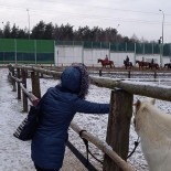 Karczma Wiking Na zewnątrz