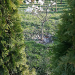 Stary Dworzec Extérieur