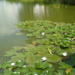 Mansion Bartla À l'intérieur