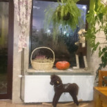 Bistro Frykas Boisson